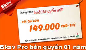 Bkav Pro 2013
